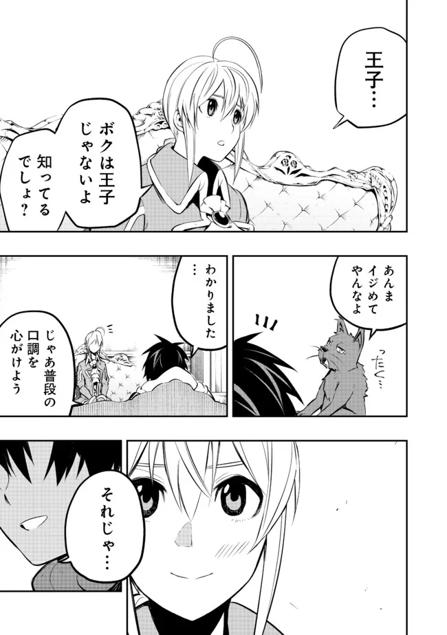 英雄魔術師はのんびり暮らしたい＠ＣＯＭＩＣ - 第17話 - Page 25