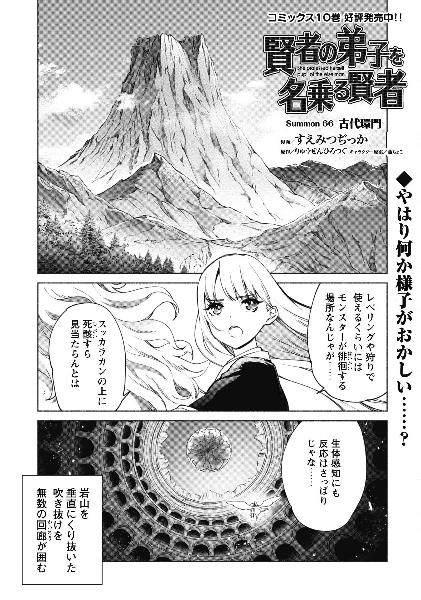 賢者の弟子を名乗る賢者 - 第66話 - Page 2