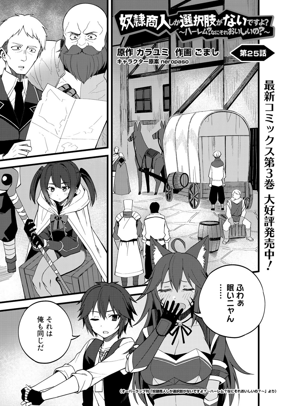 奴隷商人しか選択肢がないですよ?～ハーレム?なにそれおいしいの?～ - 第25話 - Page 1