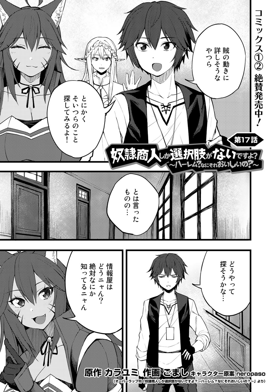 奴隷商人しか選択肢がないですよ?～ハーレム?なにそれおいしいの?～ - 第17話 - Page 1