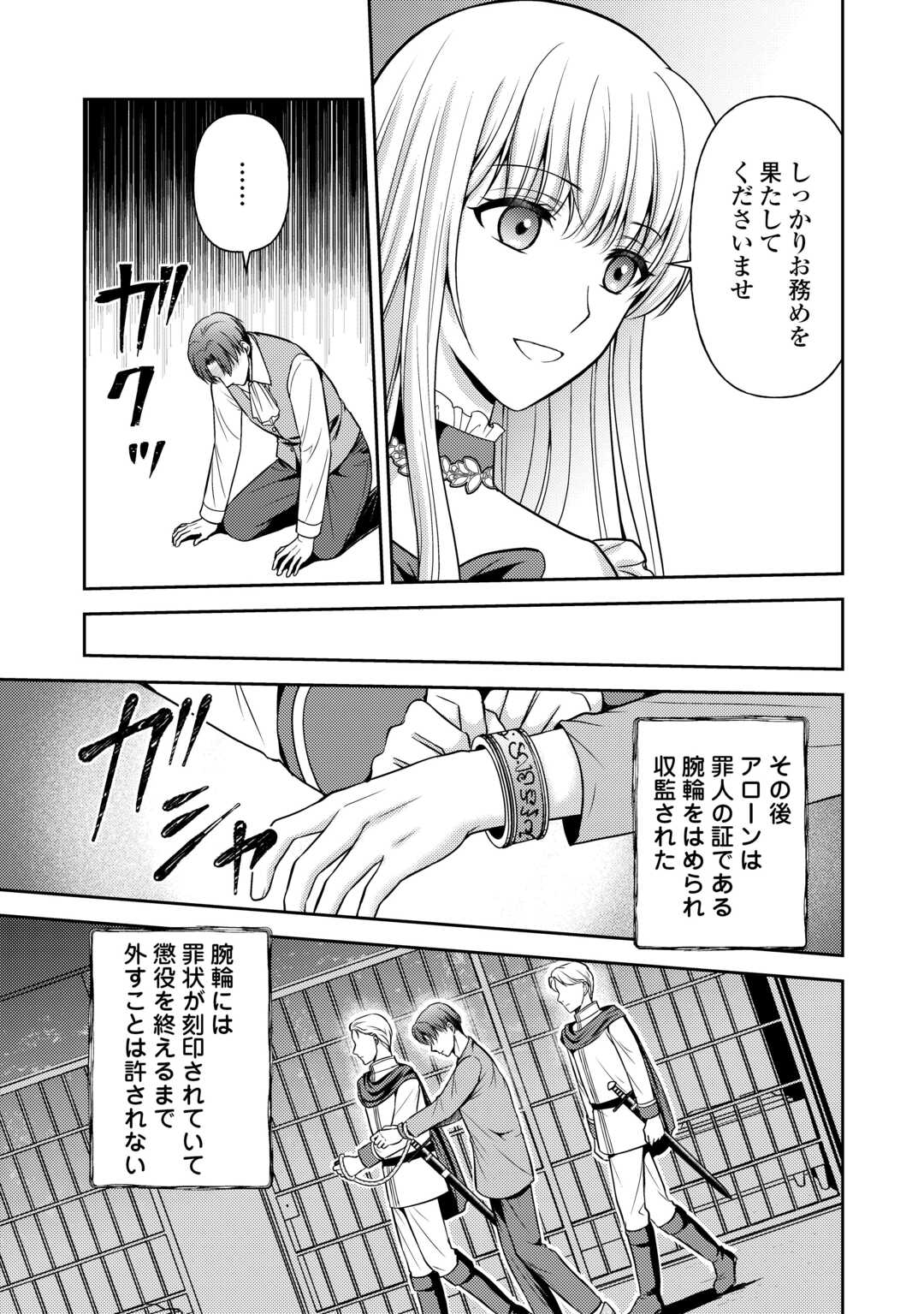 可愛い義妹が婚約破棄されたらしいので、今から「御礼」に参ります。 - 第11話 - Page 11